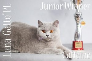 Junior Winner