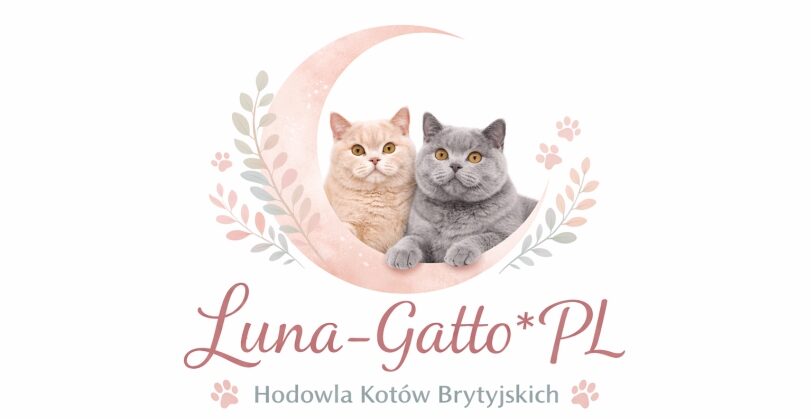 Luna-Gatto*PL